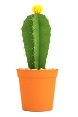 realistic 3d render of cactus