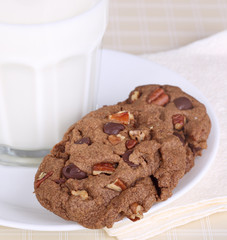 Chocolate Chip Cookie Treat