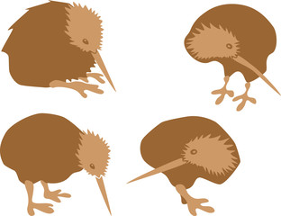 kiwi bird