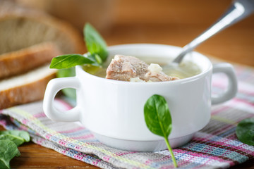 soup with meat and noodles