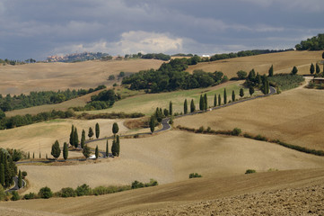 The road to Montichiello, Tuscany