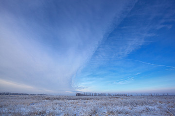 winter landscape with trees covered by hoarfrost