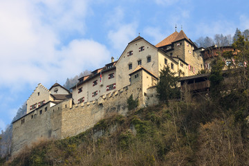 Fototapeta na wymiar Castle Prince of Liechtenstein