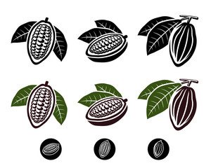 Cacao beans set. Vector - obrazy, fototapety, plakaty
