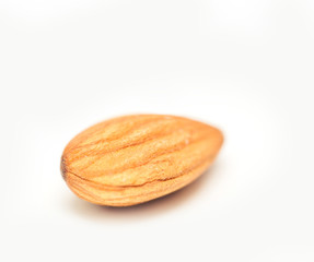 one almond closeup isolated on white background