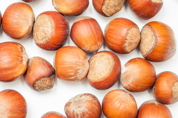 hazelnut filbert isolated on white background