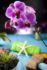 Orchids,organic products, Spa 