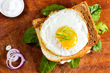 Fried egg on toast with green leaves and mayonnaise