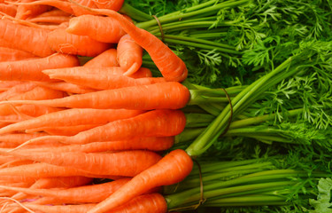 baby carrot