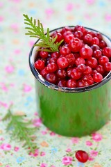 fresh and ripe cranberry
