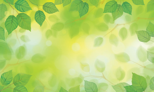 Vector green leaves on sunshine background.