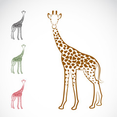 Naklejka premium Vector image of an giraffe