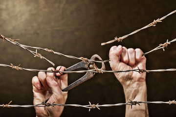 barbed wire with hands - obrazy, fototapety, plakaty