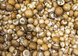 Brown champignons for sale