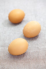 Chicken brown eggs