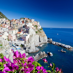 Obraz premium Manarola, Cinque Terre, Italy