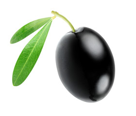 Isolated olive. One black olive fruit with leaf isolated on white background