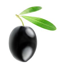 Isolated olive. Single black olive with leaves isolated on white background