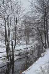 Wintry Scenery-1