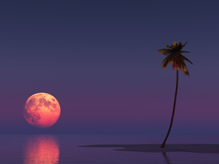 Landscape with the moon and a palm
