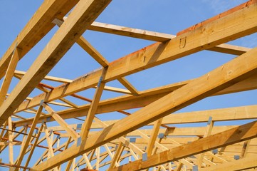 Baubranche, Holzbau-Dachkonstruktion