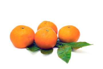 Isolated Orange Mandarins