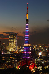 Fototapeta na wymiar Tokyo Tower