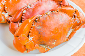 Grilled Crab on white plate