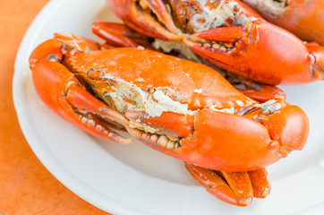 Grilled Crab on white plate