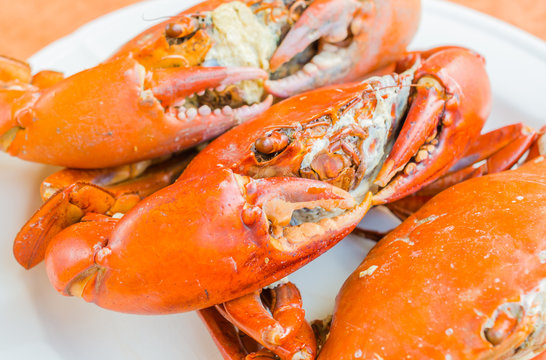 Grilled Crab on white plate