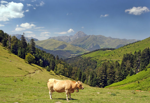 View from Col du Aspin, France, Pyrenees