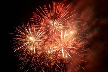 Fototapeta premium Fireworks, salute.