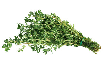Thyme Bundle