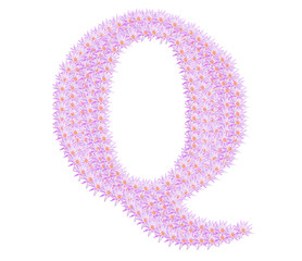 Alphabet Q