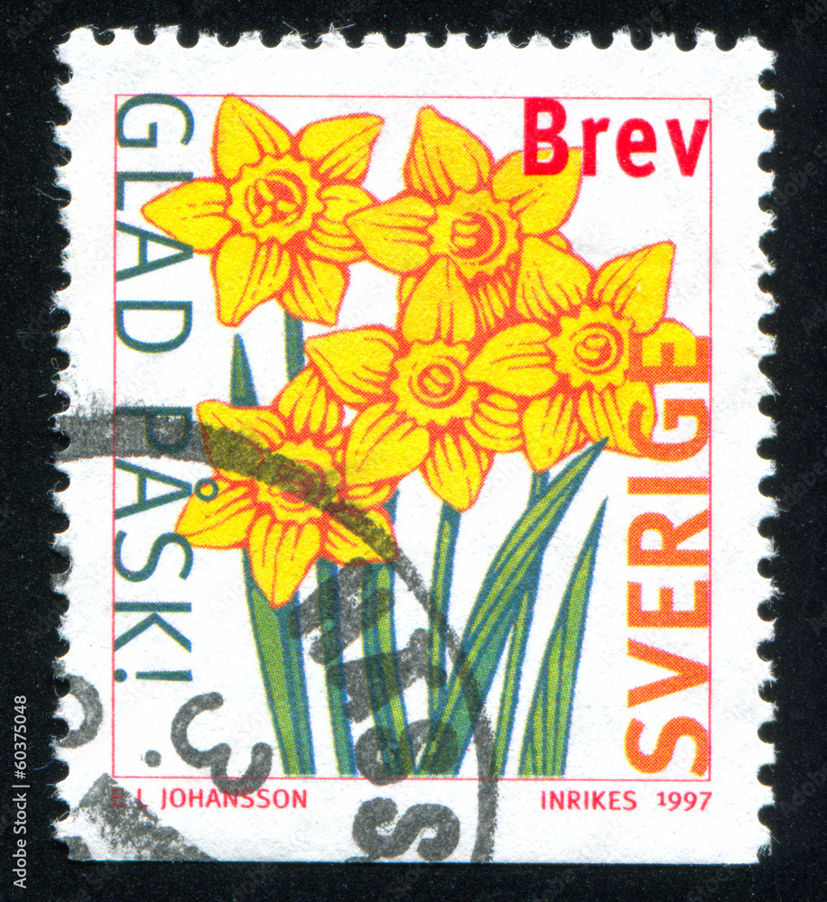 Poster daffodils