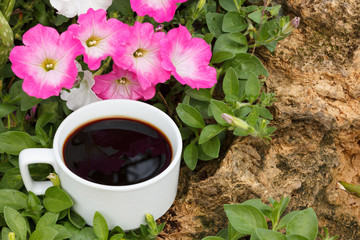 cup of coffee,Petunia flowers