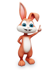 happy smiling bunny with pointing