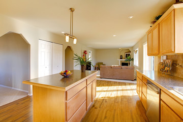 Light big dining room