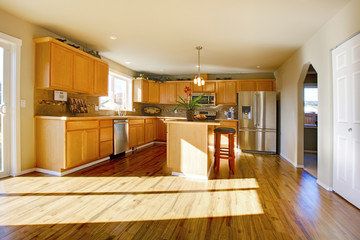 Comfortable large kitchen room