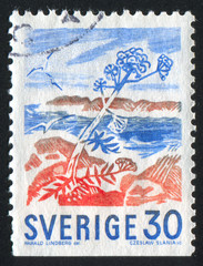 Rocky Isles in Bloom