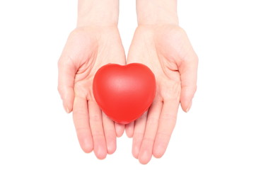 Hands of woman holding red heart. White background