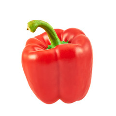 Sweet bell pepper isolated