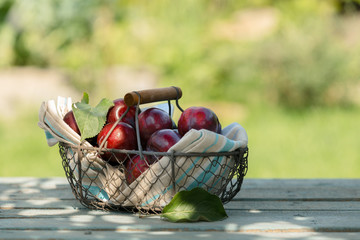 Fresh red apples in a wire basket