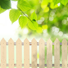 White fences