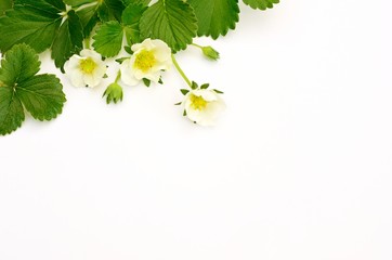 背景