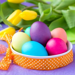 Colorful easter eggs in basket with ribbon, yellow tulips flower