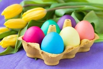 Colorful easter eggs in packing box with tulips flowers
