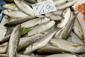 Fresh sea bass at market stall