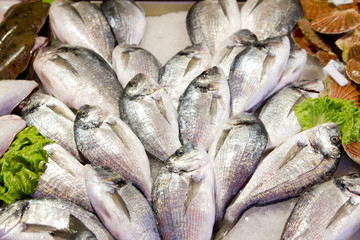 Fresh sea bass at market stall