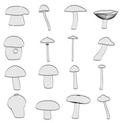 cartoon image of mushrooms (eatable)
